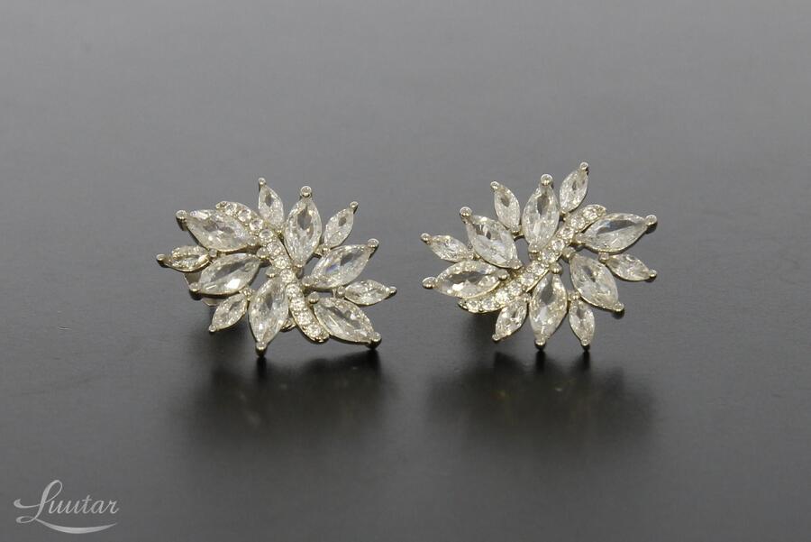 Hõbekõrvarõngad 925* UUED!