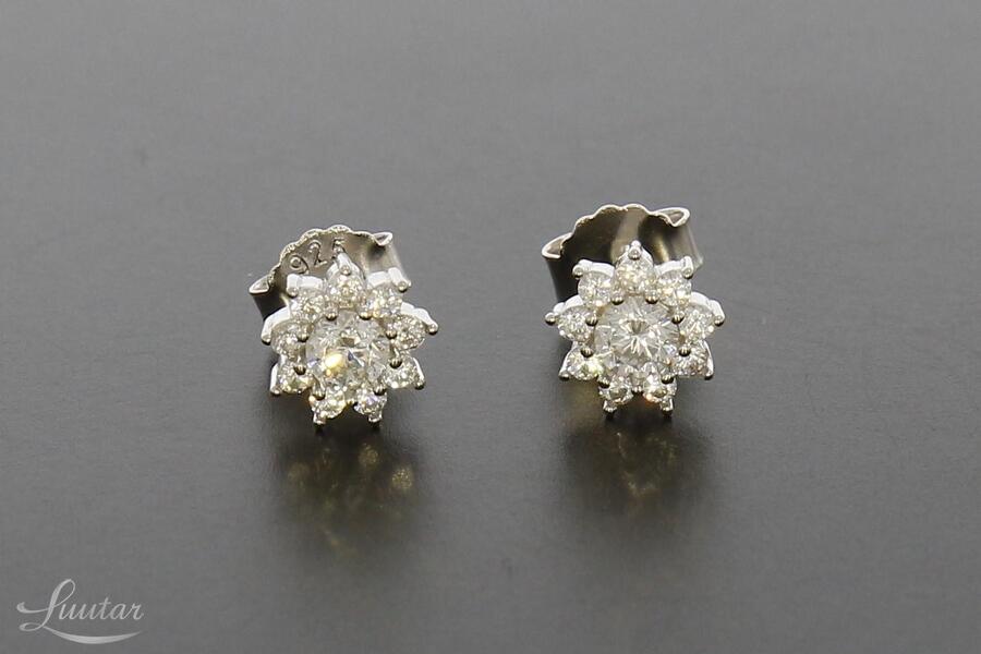 Hõbekõrvarõngad 925* UUED!