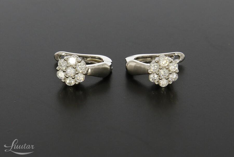 Hõbekõrvarõngad 925* UUED