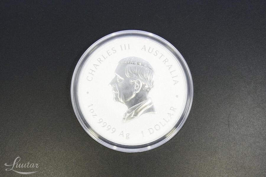Hõbemünt 999* 1 Dollar Austraalia 2026