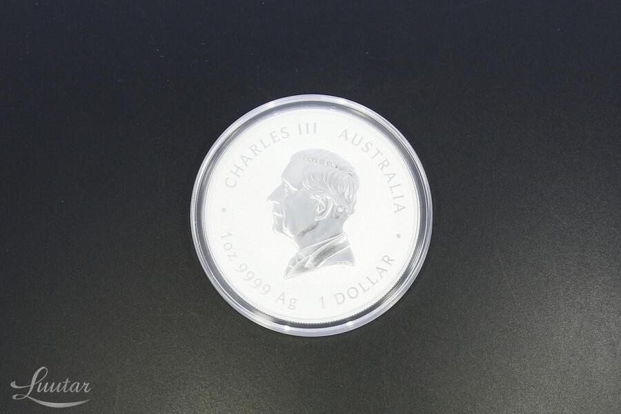 Hõbemünt 999* 1 Dollar Austraalia Lunar Hobuseaasta 2026a