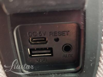 Bluetooth kõlar Pexman PM-10W