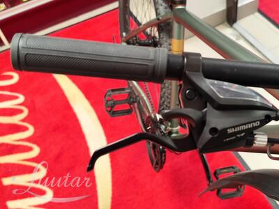 Jalgratas Classic Pro 29