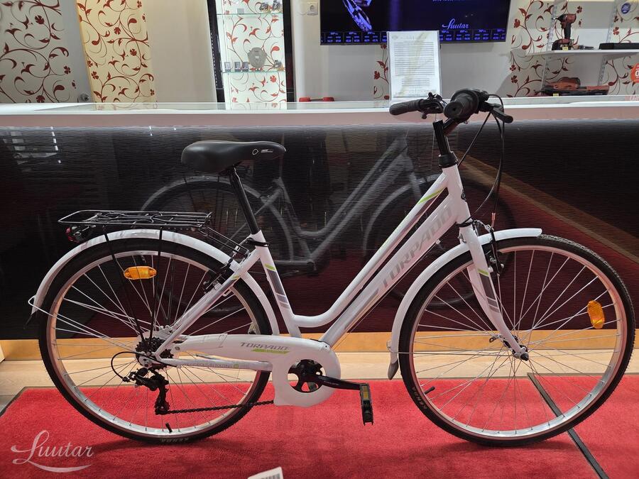 Jalgratas Torpado Albatros