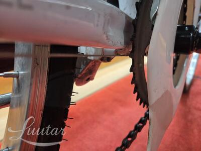 Jalgratas Torpado Albatros
