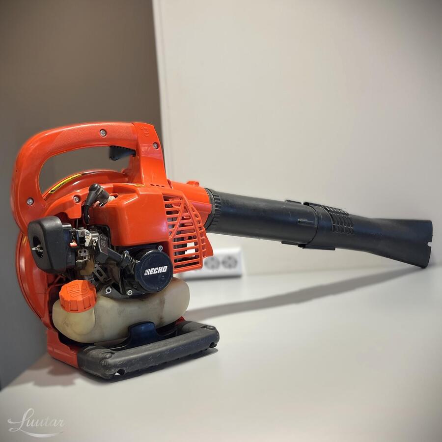 Lehepuhur ECHO ES-250ES