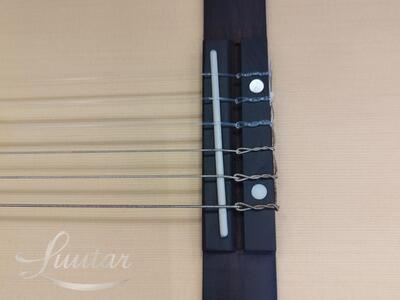 Kitarr Fender ESC-105