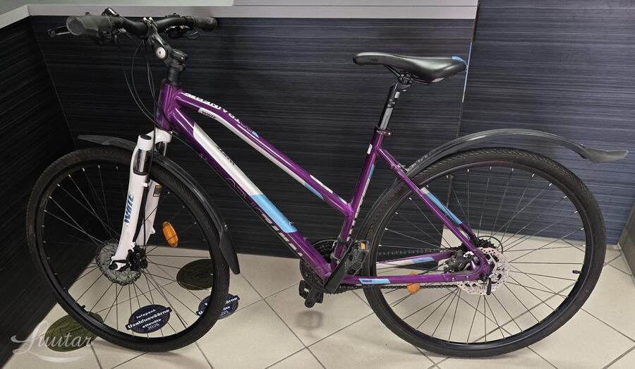 Jalgratas Whitebikes SC Trainer