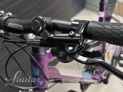 Jalgratas Whitebikes SC Trainer