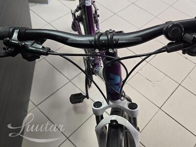 Jalgratas Whitebikes SC Trainer