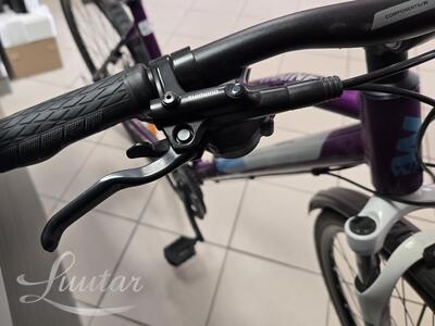 Jalgratas Whitebikes SC Trainer