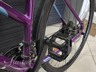 Jalgratas Whitebikes SC Trainer