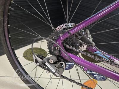Jalgratas Whitebikes SC Trainer