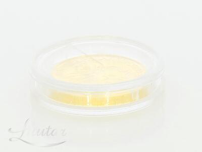 Kuldmünt 999* 10 EURO 1/10 oz Austria Philharmoniker 2022