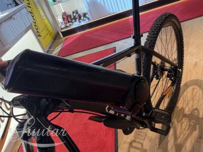 Jalgratas Drag Hardy 29"