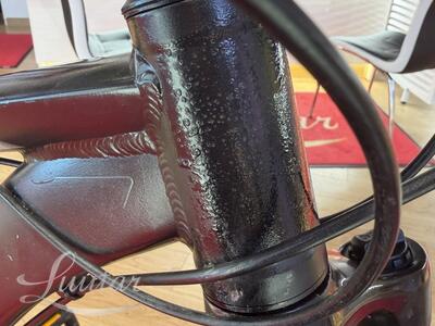 Jalgratas Drag Hardy 29"