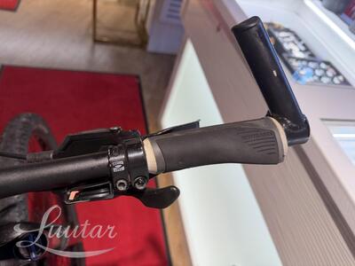 Jalgratas Drag Hardy 29"