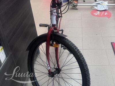 Jalgratas Classic Mooza