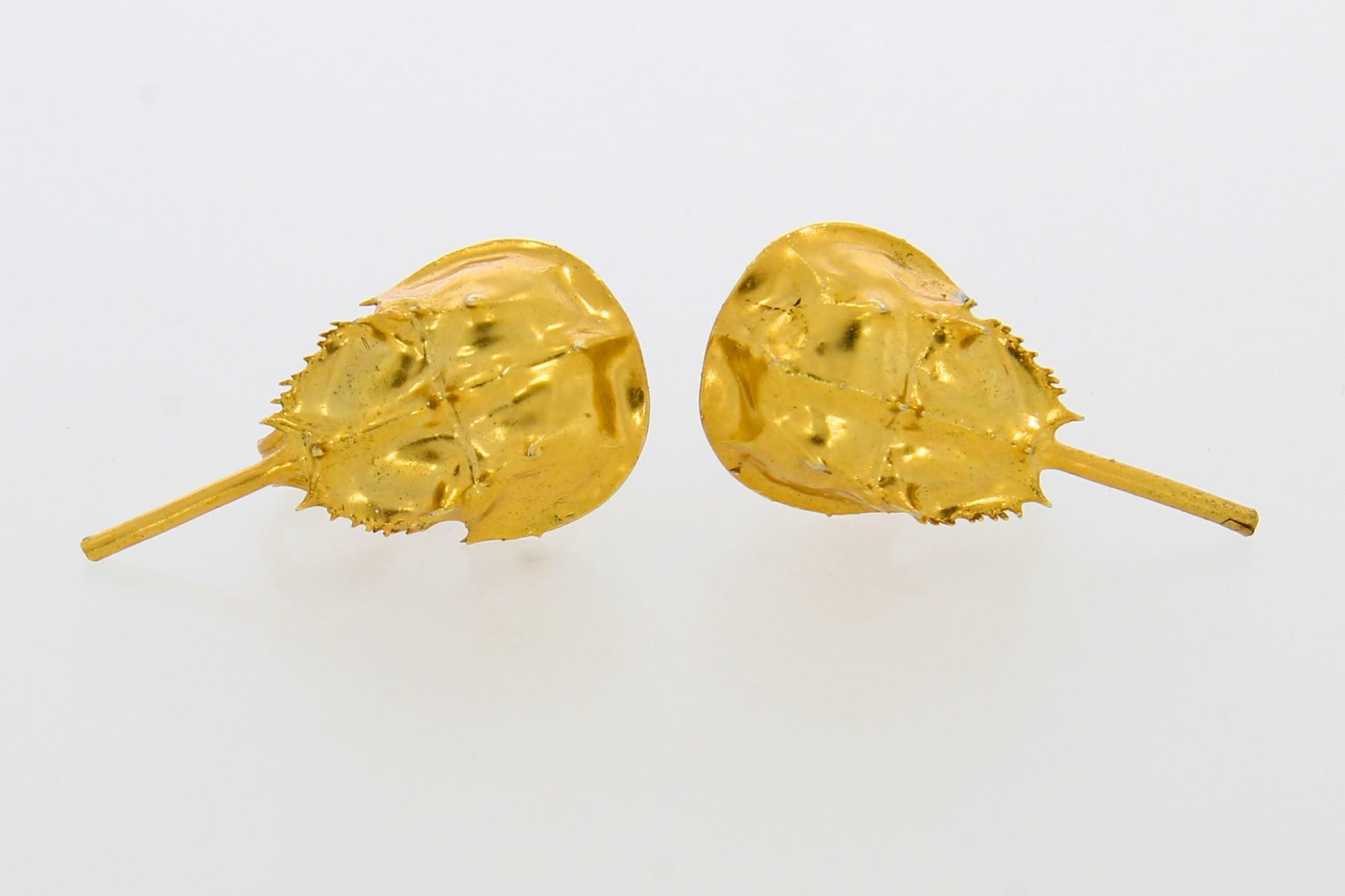 Tootefoto - Kõrvarõngad