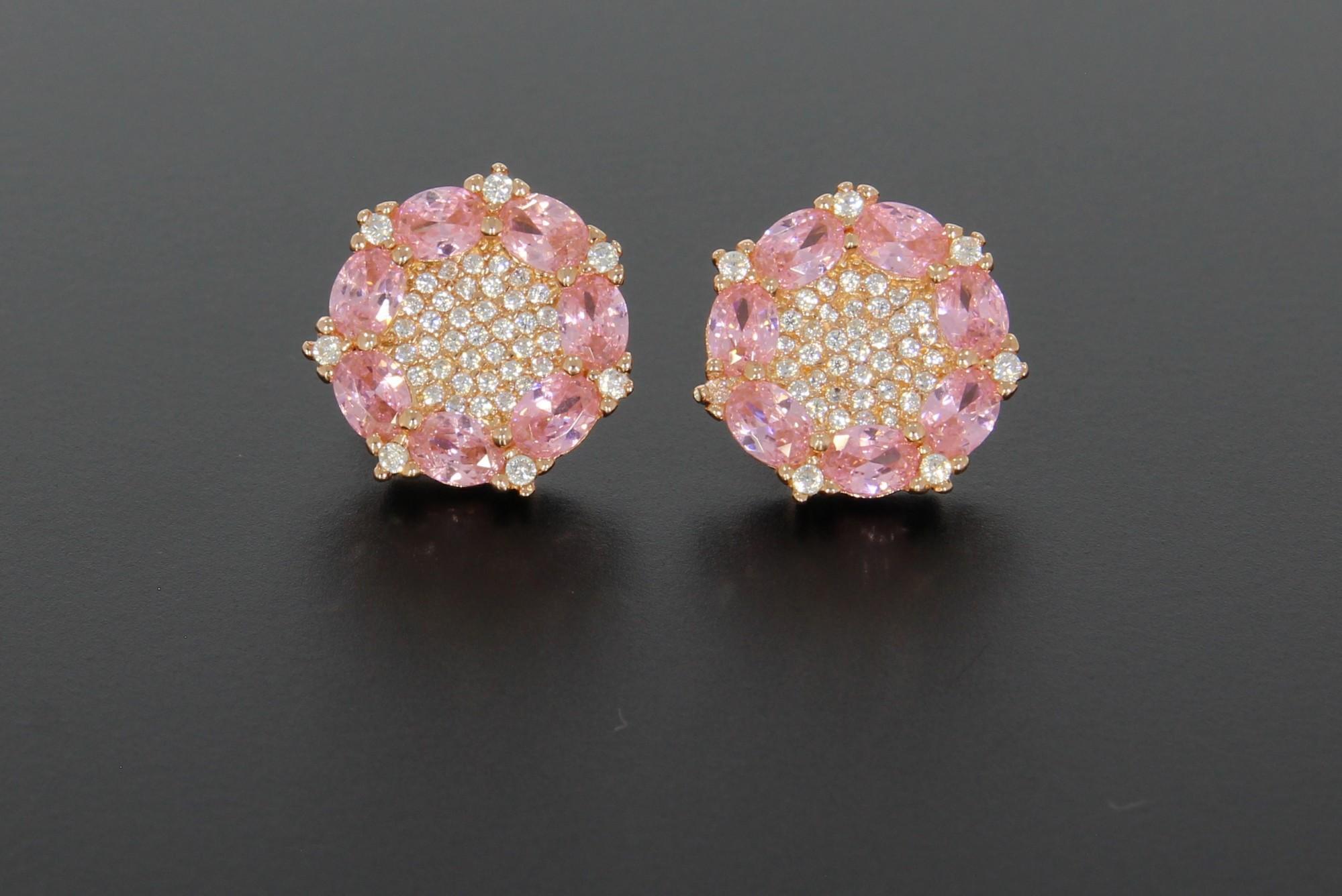 Tootefoto - Hõbekõrvarõngad 925*