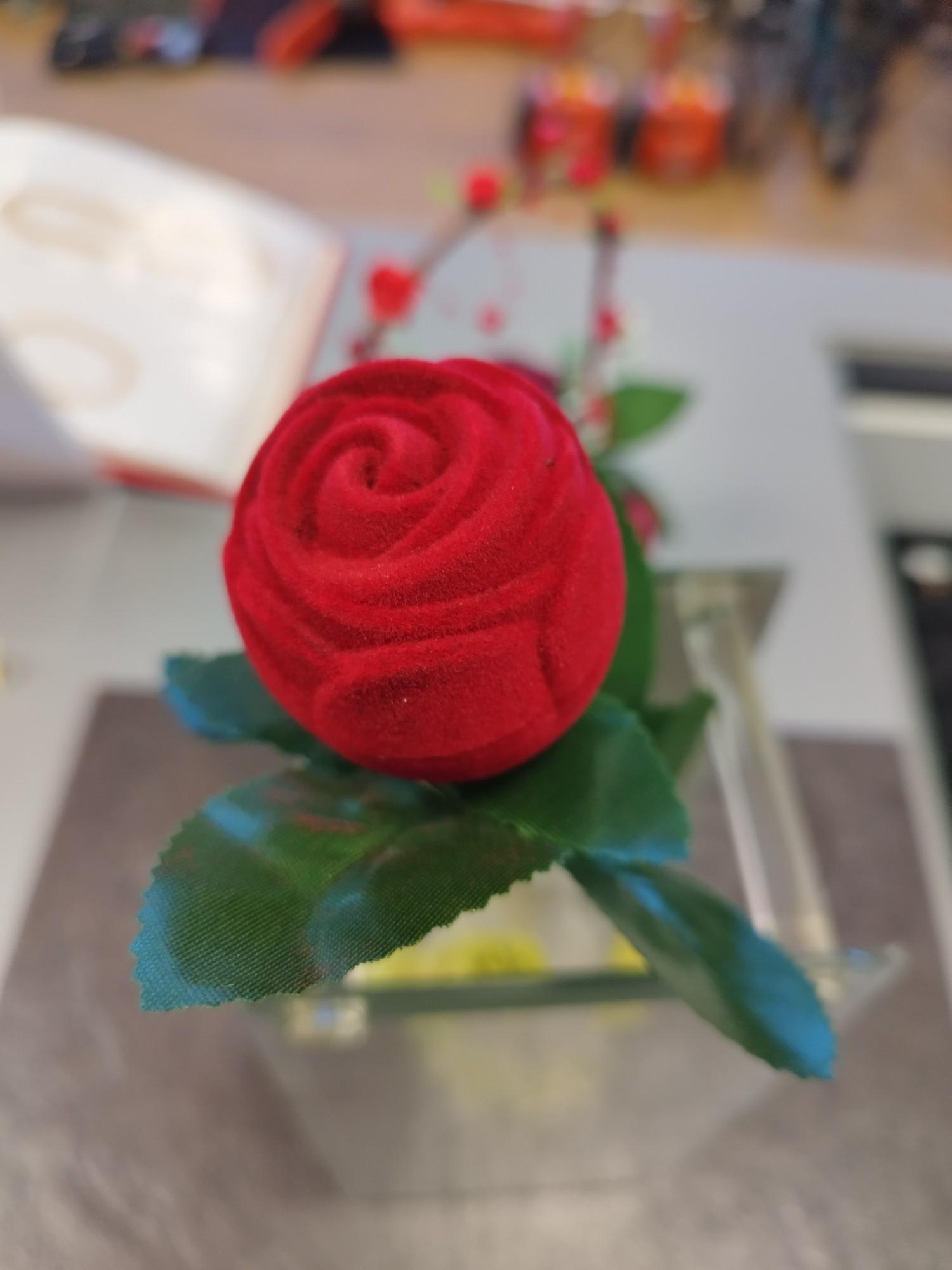 Tootefoto - Kinkekarp Roos