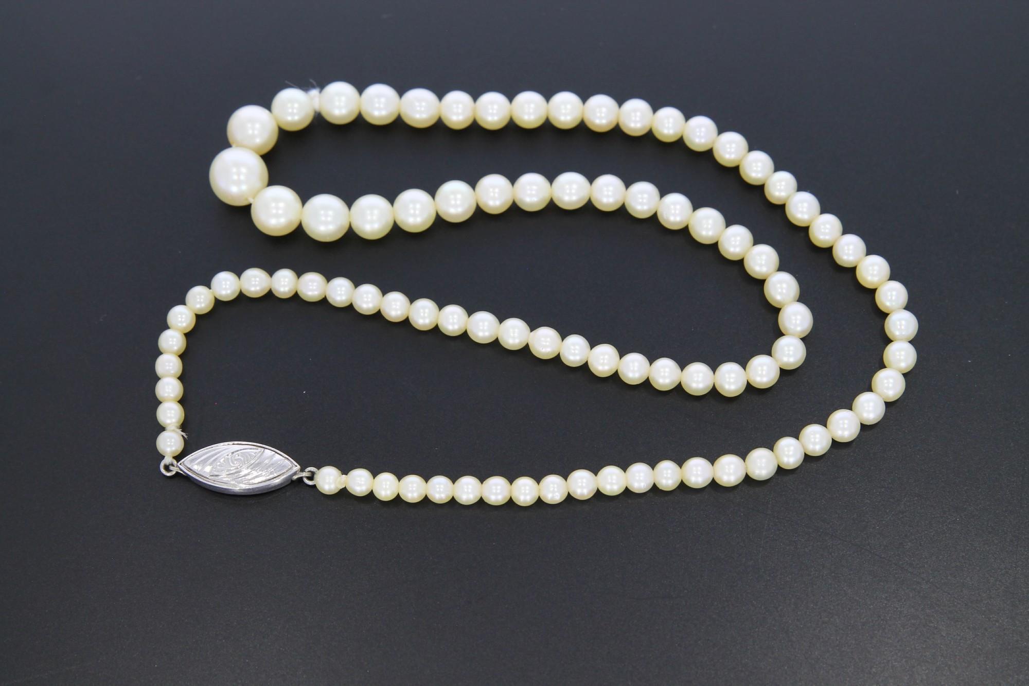 Tootefoto - Pärlikee