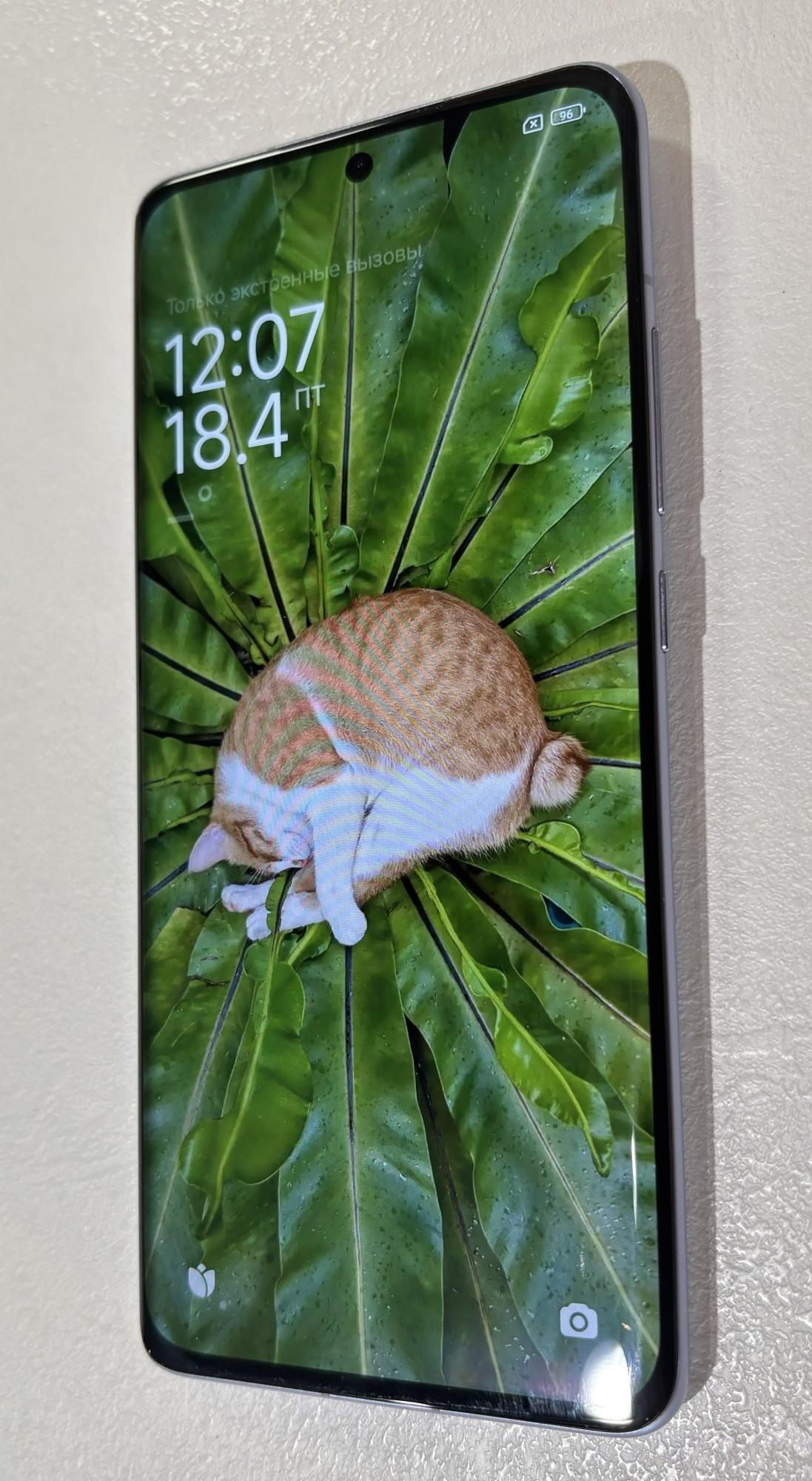 Tootefoto - Mobiiltelefon Xiaomi 12 256GB