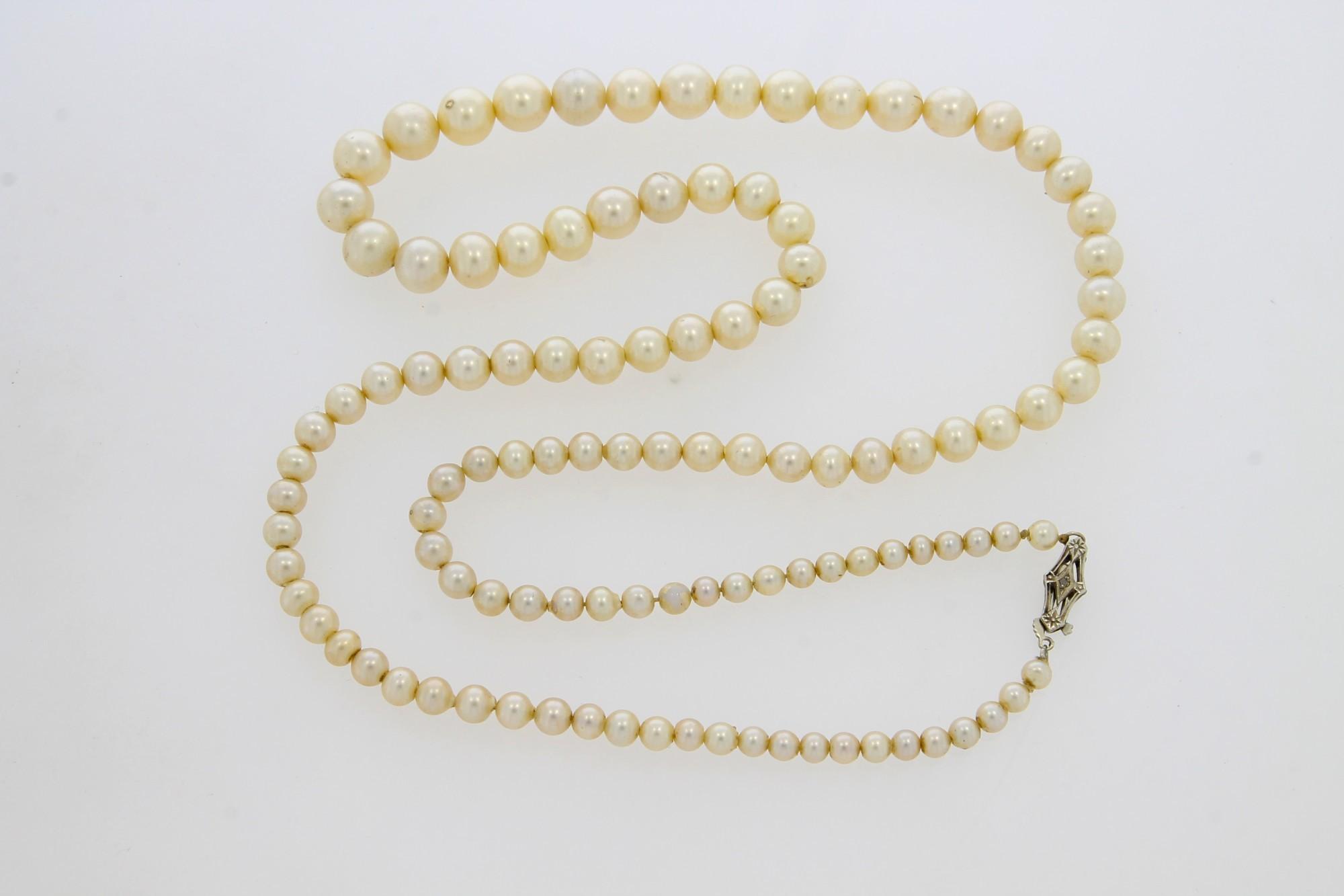 Tootefoto - Kullast kinnitusega kaelakee 585* La Tausca