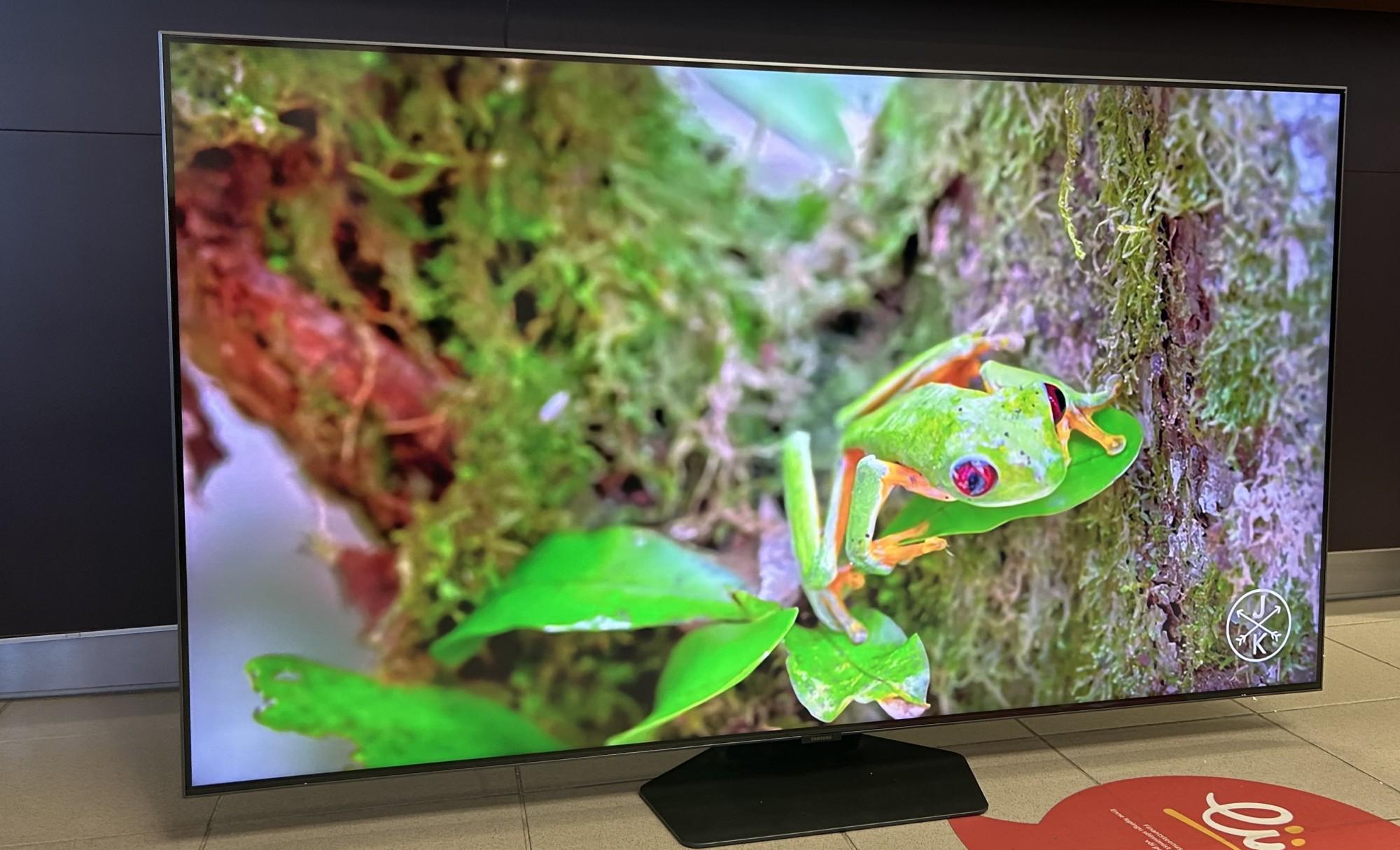 Tootefoto - Televiisor Samsung QE55Q80CATXXH