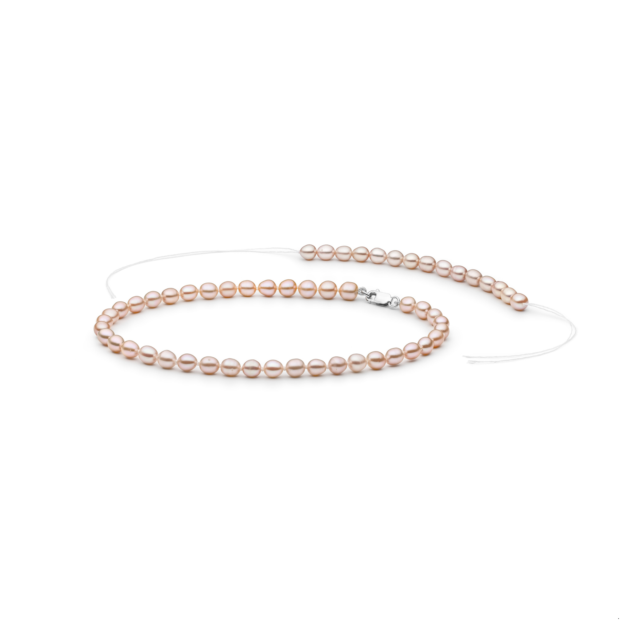 Tootefoto - Kaelakee FCP365(30cm)