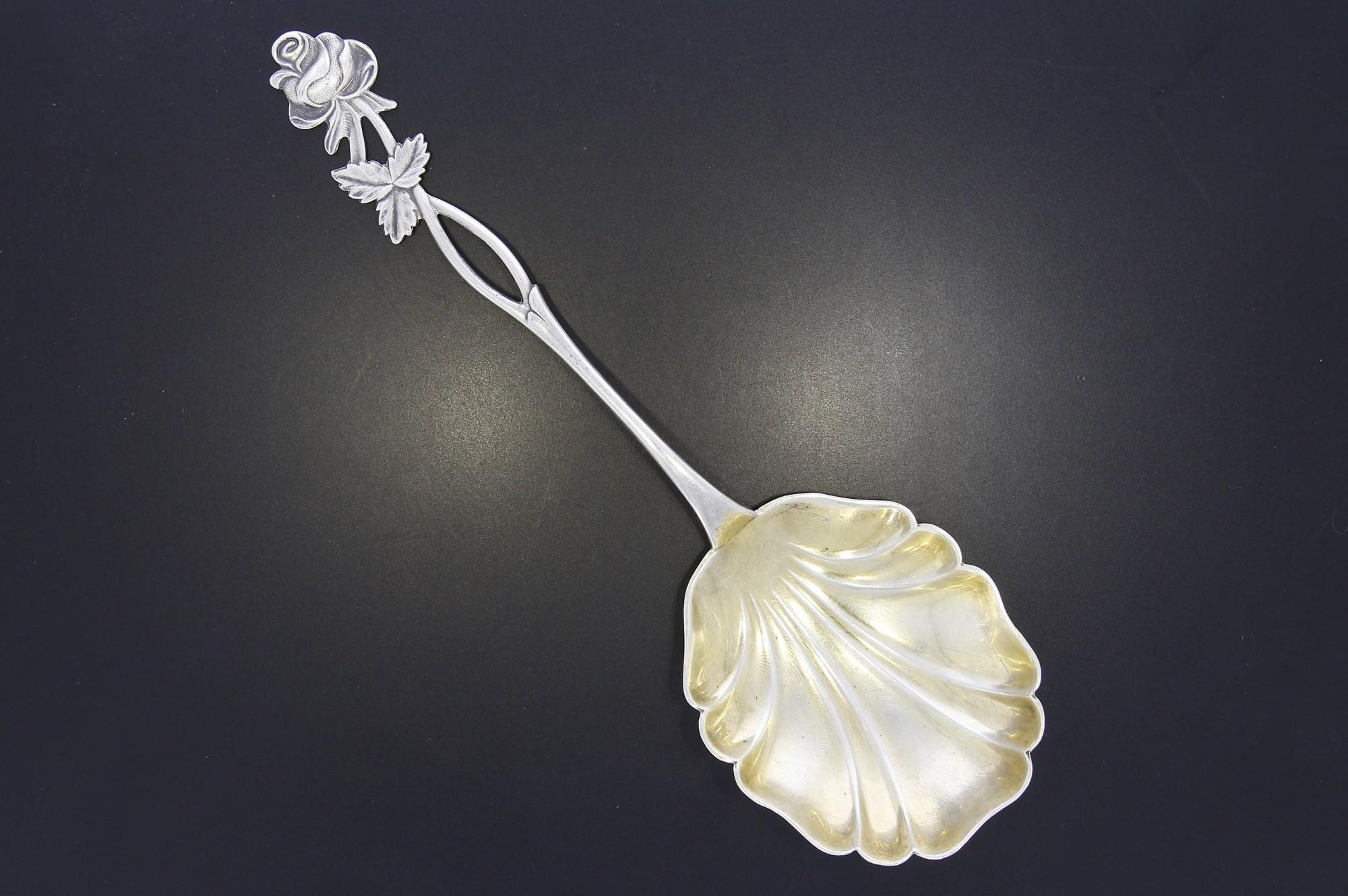 Tootefoto - Hõbelusikas 813*