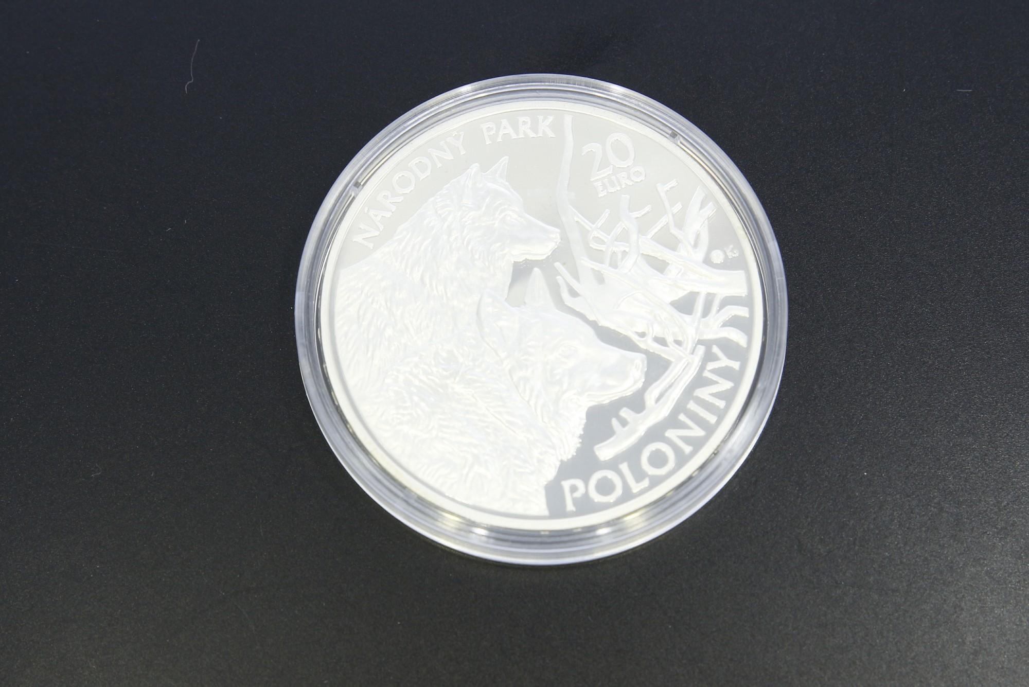 Tootefoto - Hõbemünt 925* 20 Euros Poloniny 2010a