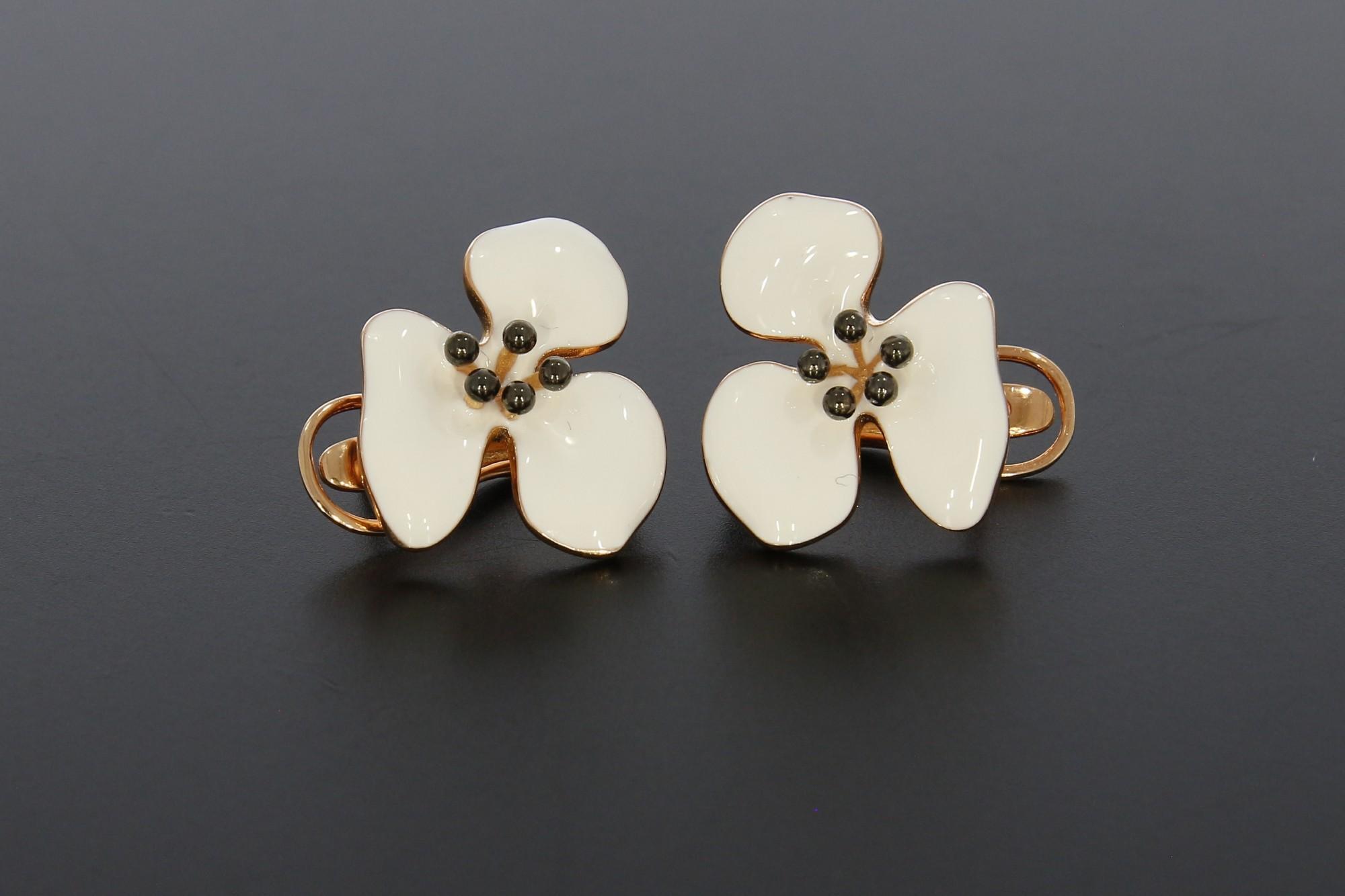 Tootefoto - Hõbekõrvarõngad 925*